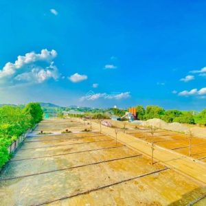 SIÊU HẤP DẪN – 32 LÔ ĐÁ THÂM