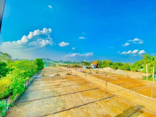SIÊU HẤP DẪN – 32 LÔ ĐÁ THÂM